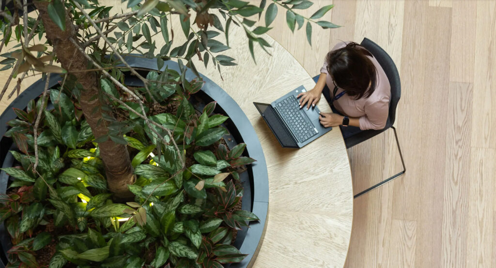Thriving with Nature: The Strategic Advantage of Biophilic Design