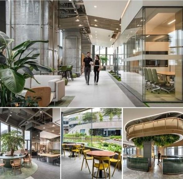 Transforming Workplaces with ESG: Insights from M Moser Associates