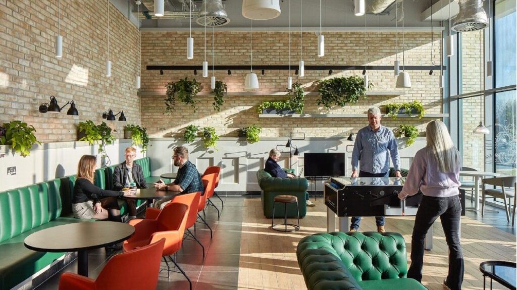 Empower Your Team: Transforming Workspaces for Psychological Safety and Wellbeing
