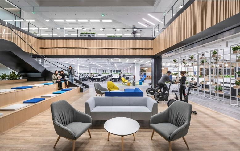 Elevating Organizational Health Through Strategic Workplace Design