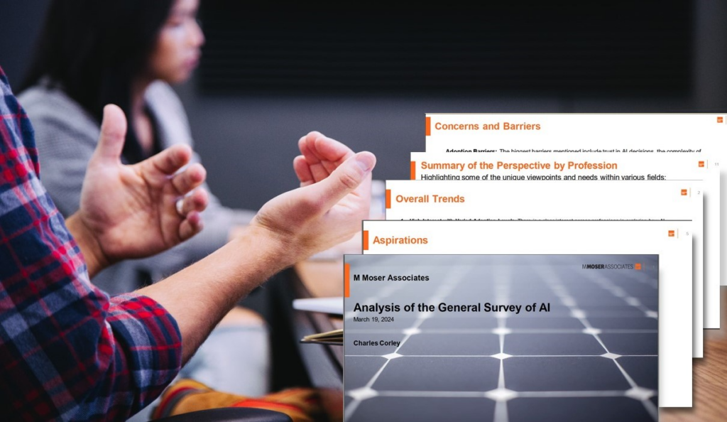 OK, we have a mission and a team. Now what?: Insights from Our Team’s Journey